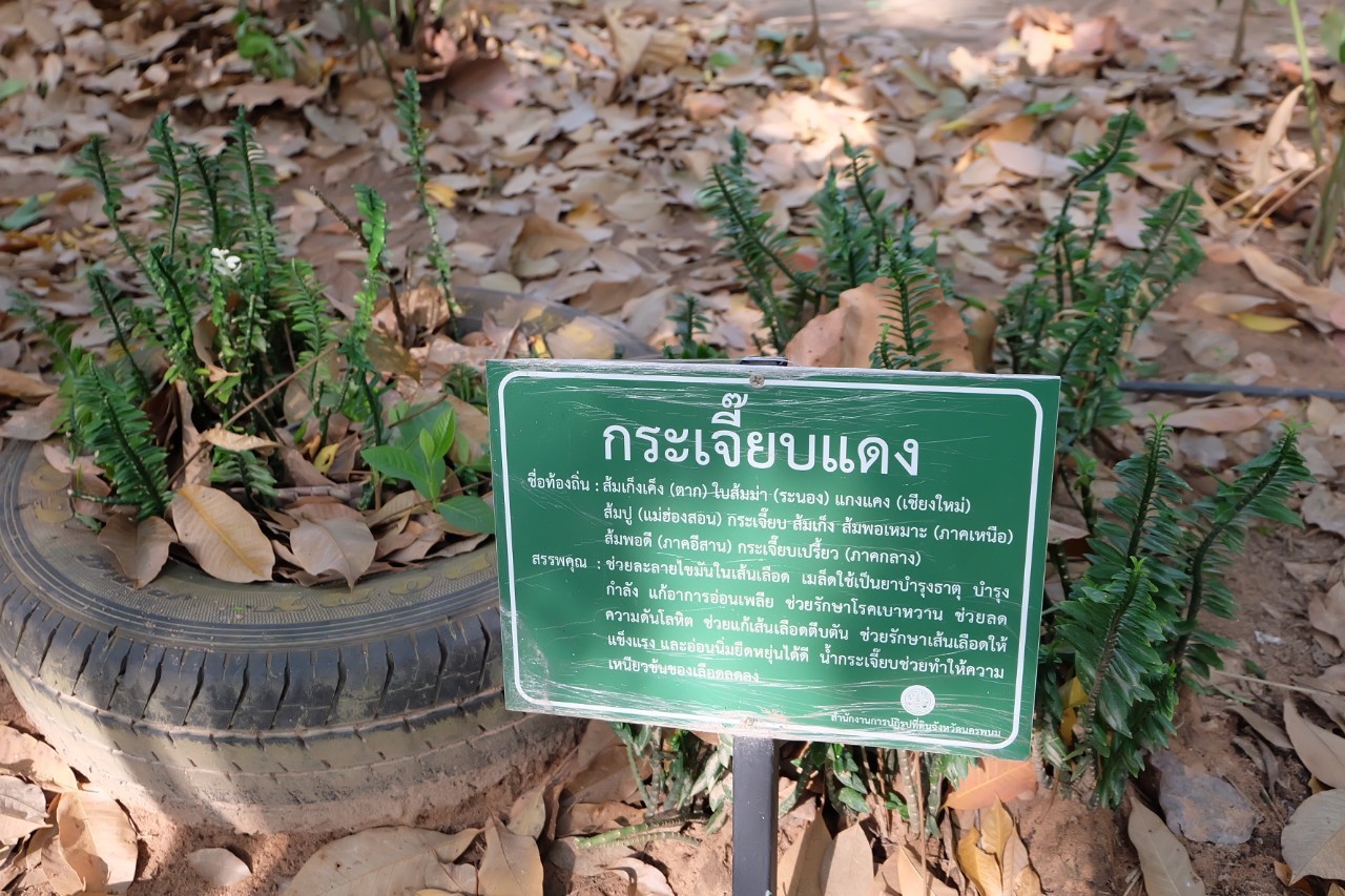 title - ผู้ตรวจราชการกรม ประชุมติดตามผลการดำเนินงานตามแผนการตรวจราชการ ส.ป.ก. ประจำปีงบประมาณ พ.ศ. 2566 รอบที่ 1 เขตตรวจราชการที่ 11 จังหวัดนครพนม